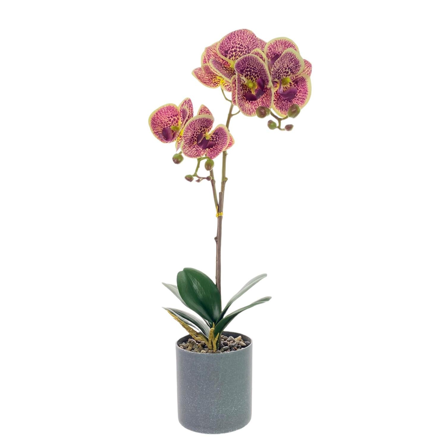 Planta Artif 11X50 Orquidea Morad F243