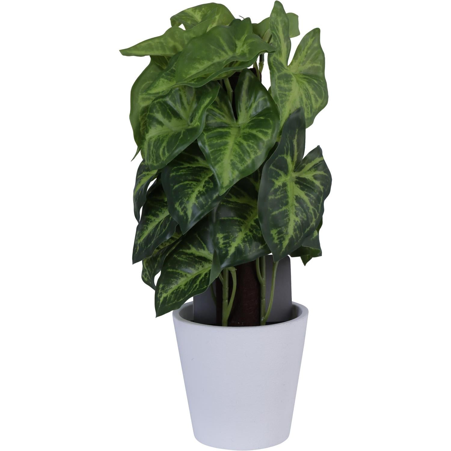 Planta Artificial 15X15X25Cm Singonio