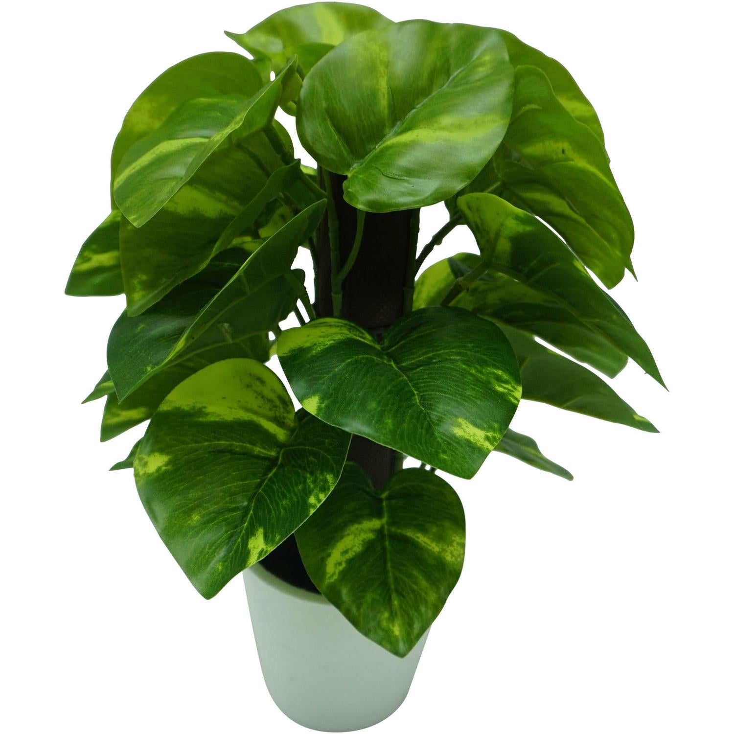 Planta Artificial 16X16X25Cm  Hiedra