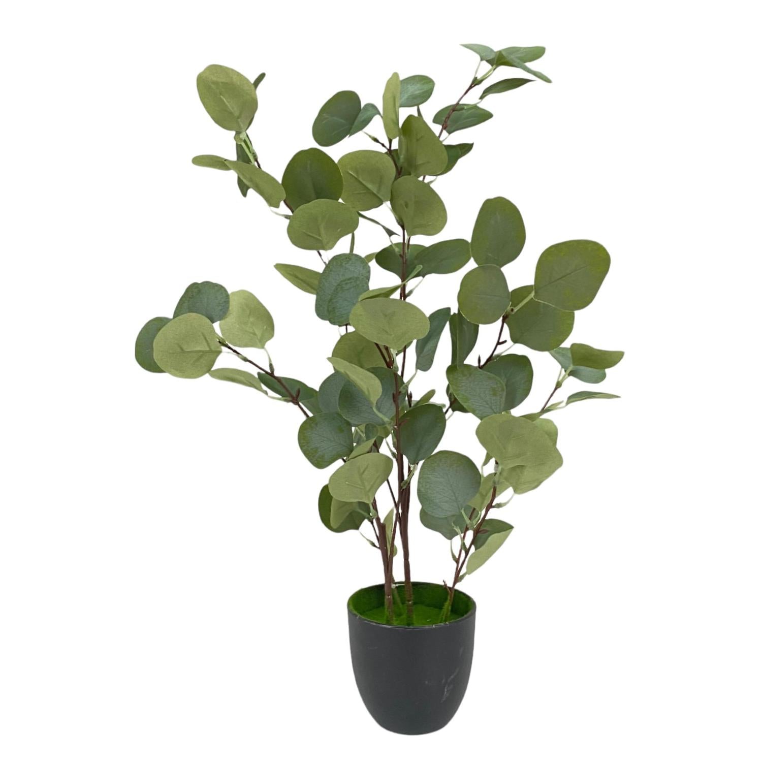 Planta Artificial 60X40X60Cm Eucalipto