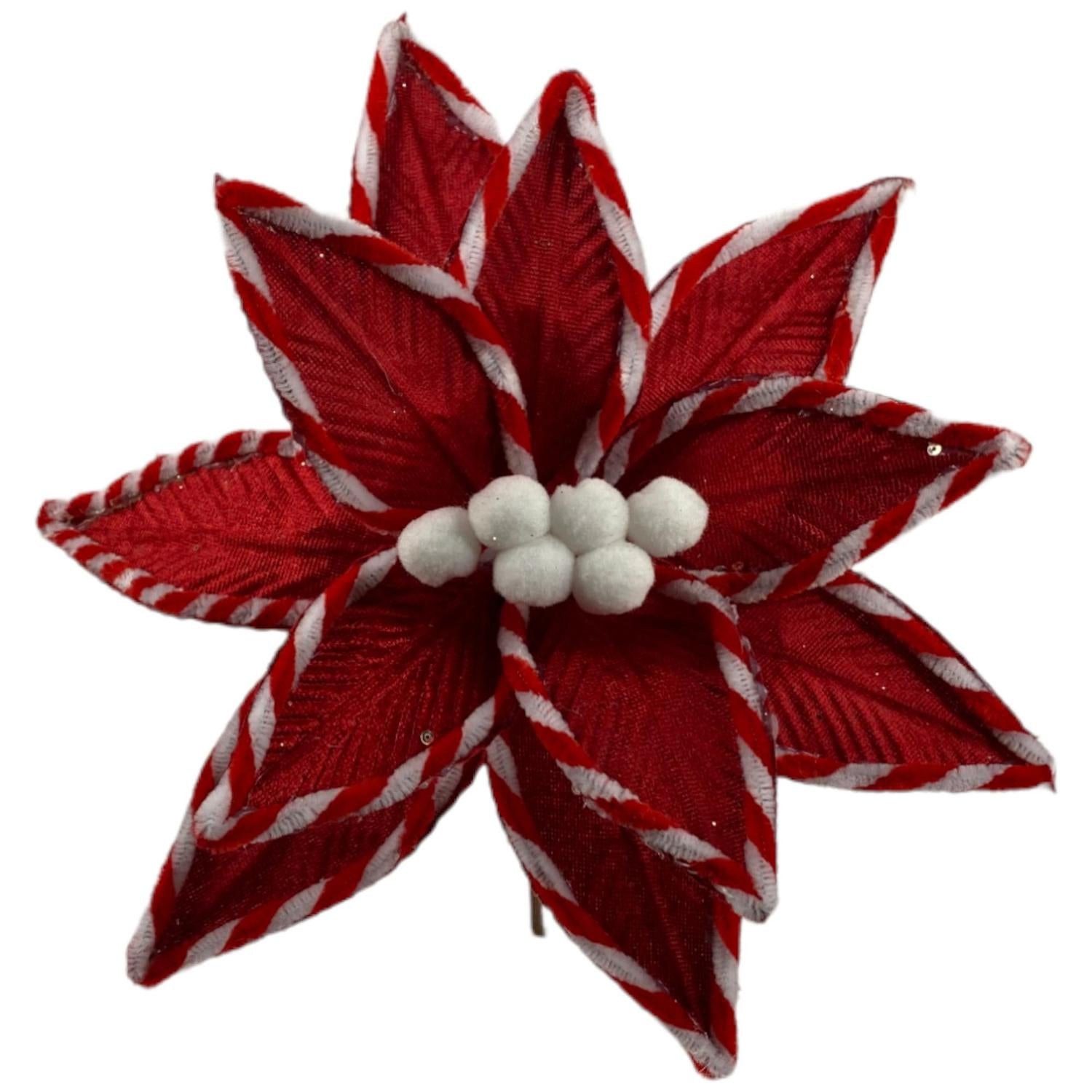 Rama 27X25Cm Flor Navidad   F241