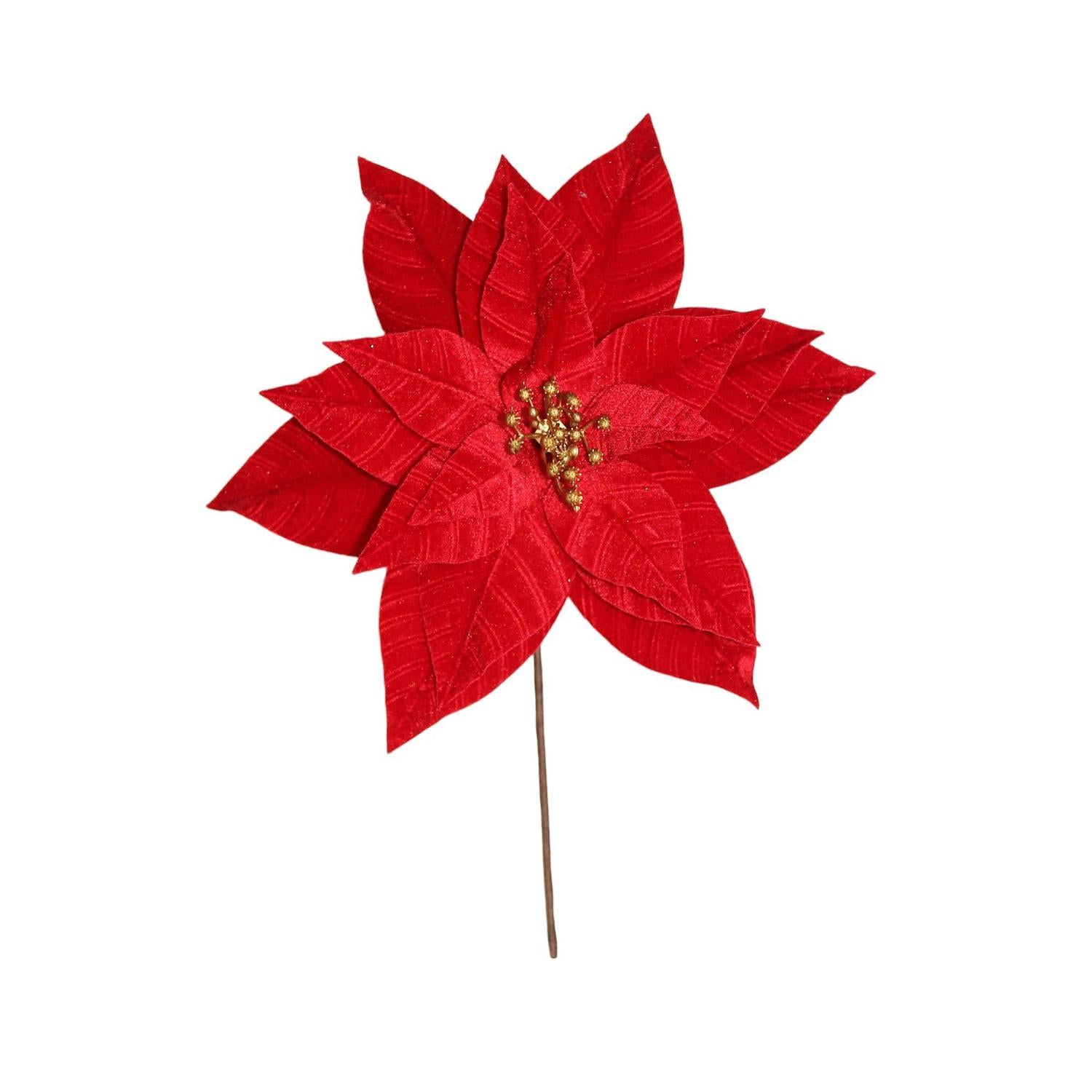 Rama 35X31Cm Flor Navidad   F241