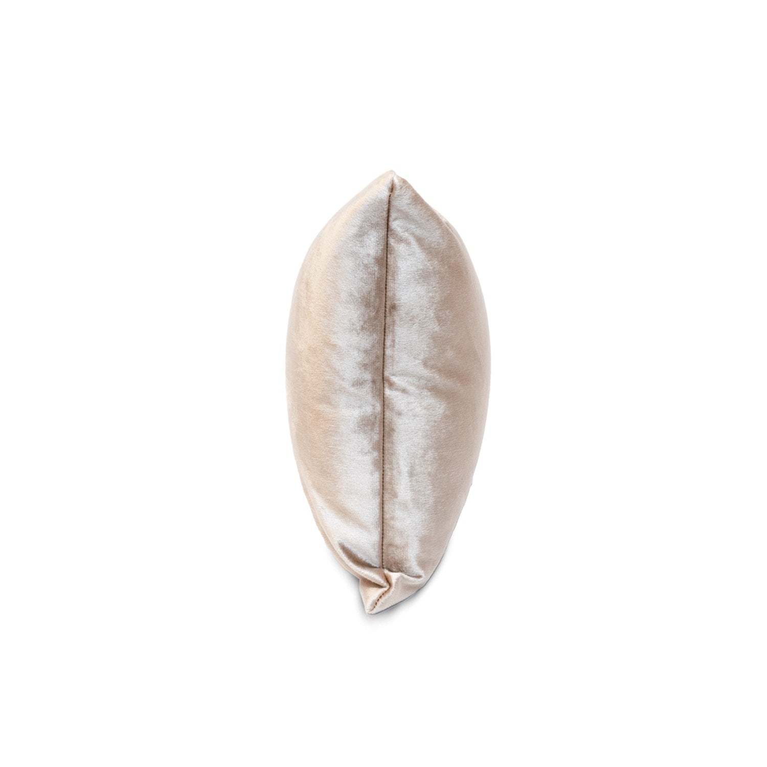 Cojin 30X50 Collins Beige