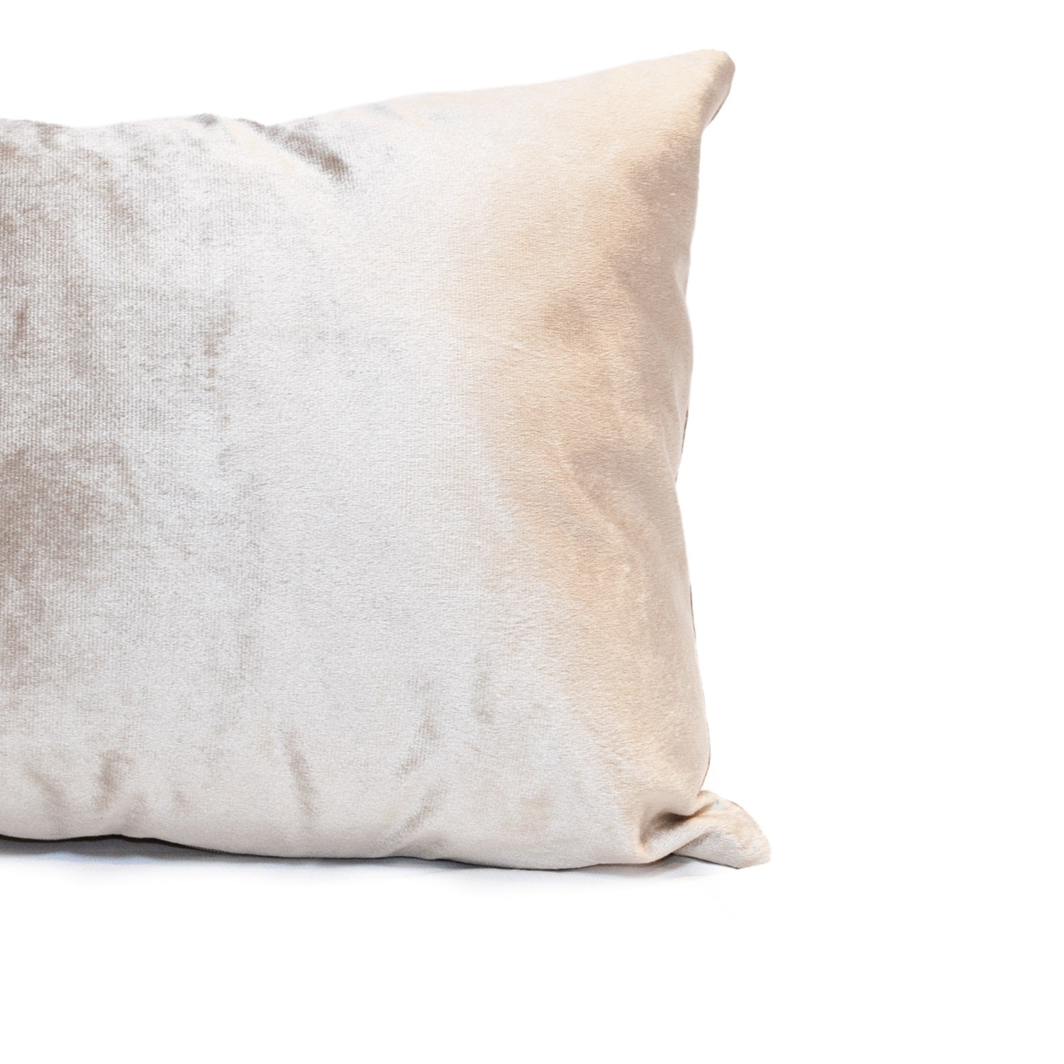 Cojin 30X50 Collins Beige