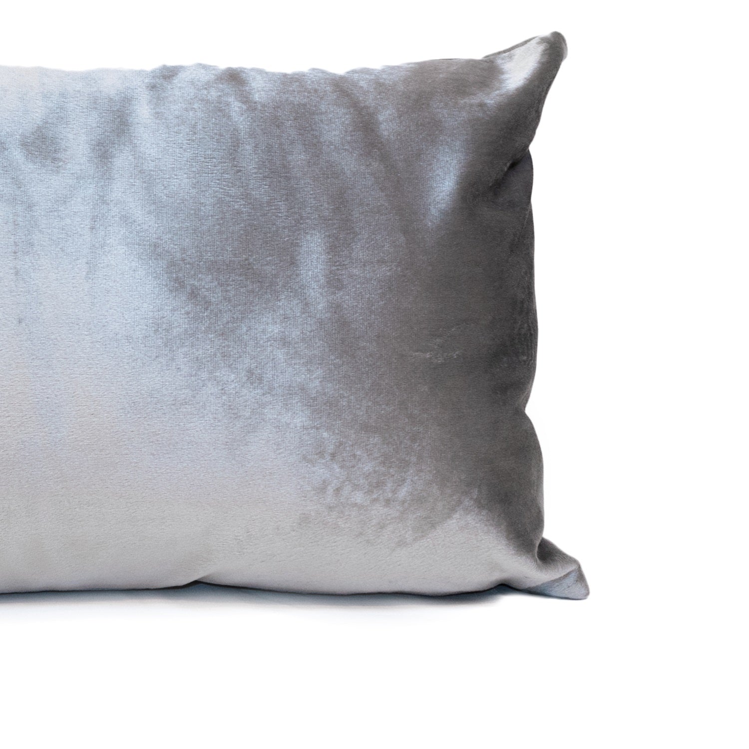 Cojin 30X50 Collins Plata