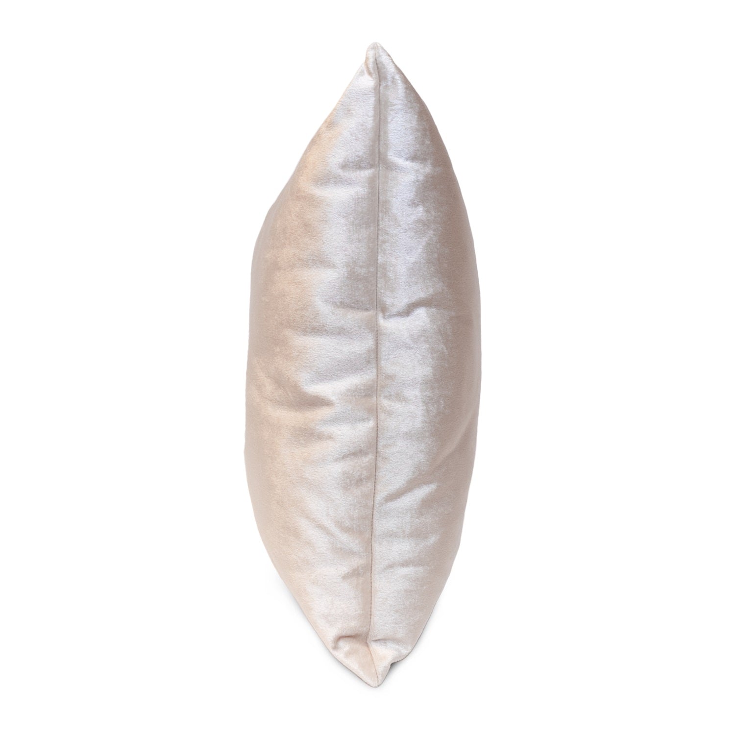 Cojin 45X45 Collins Plata