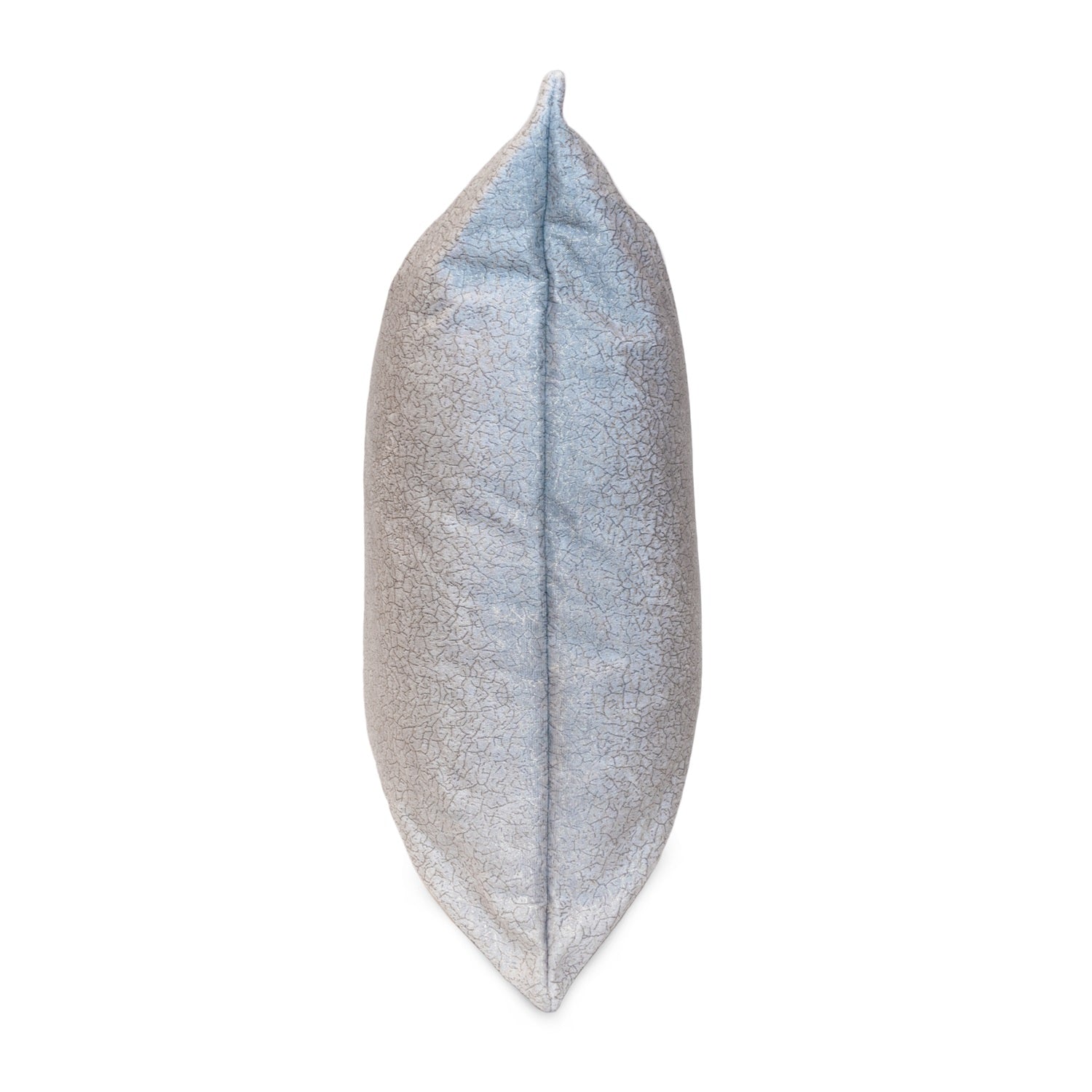 Cojin 45X45 Lucky Plata
