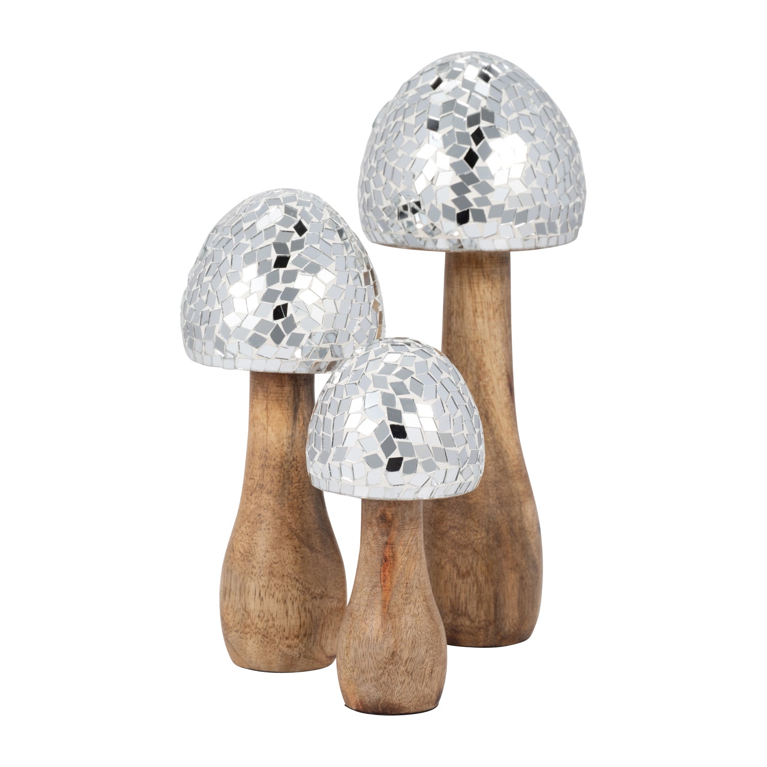 Figura 20X10X10 Silver Nat Hongo Lv25