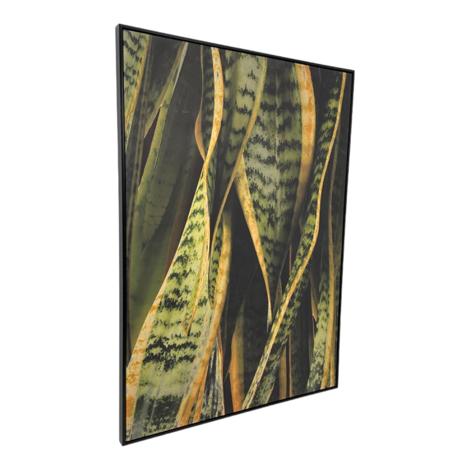 Cuadro 4.3X102.6X142.6 Verde Hoja Lengua F243