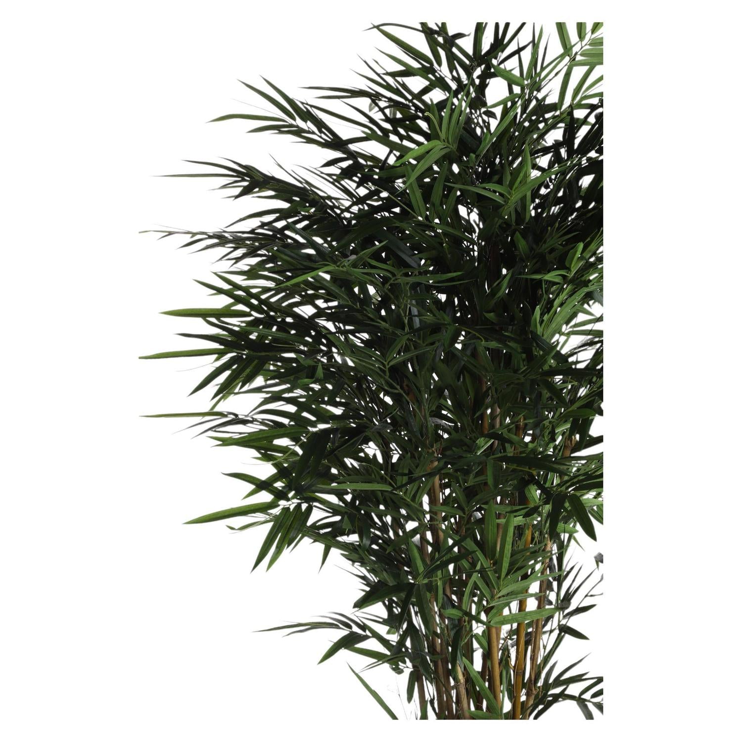 Planta Artif 180Cm Arbol Bambu F243