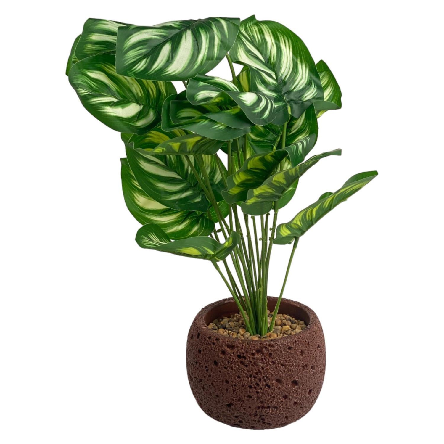 Planta Artificial 15X15X39 Alocasia C P F243