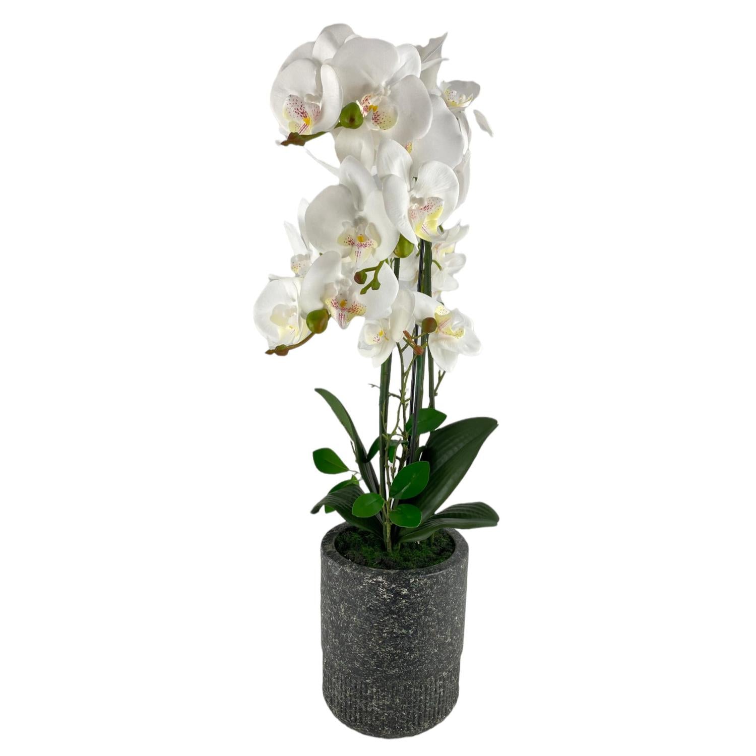 Planta Artificial 72Cm Blanca Orquidea F243