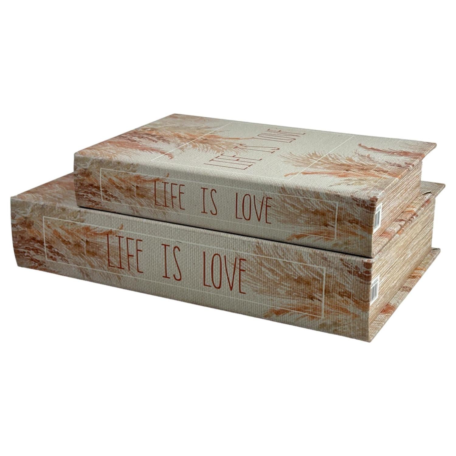 Cajas 33X22X7 Libro Life Is Set X2 F243