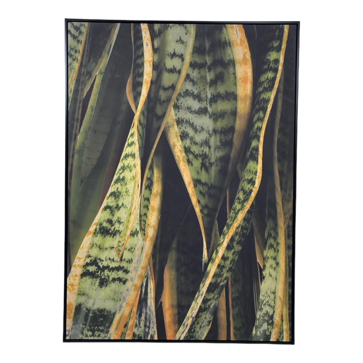 Cuadro 4.3X102.6X142.6 Verde Hoja Lengua F243