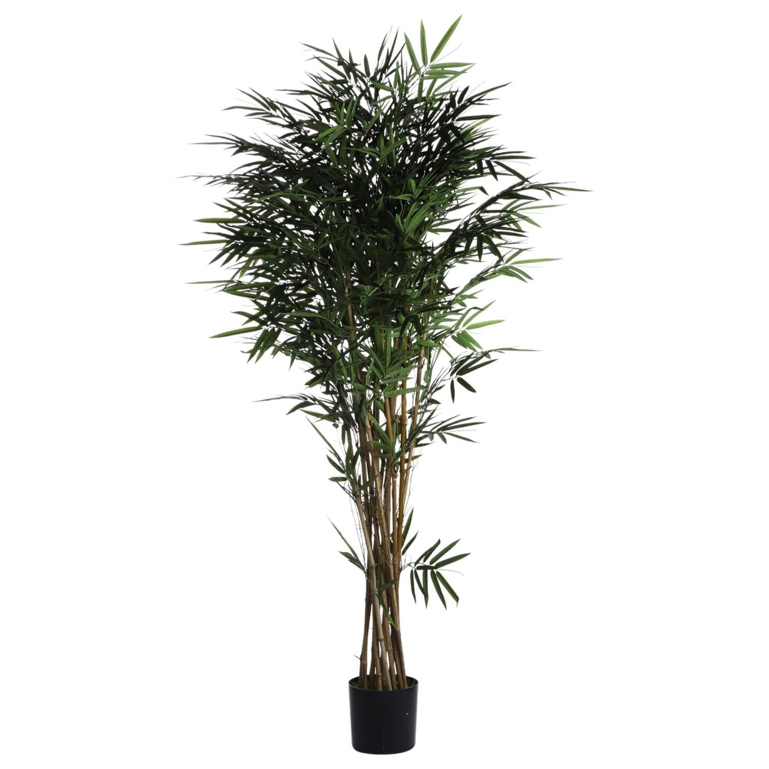 Planta Artif 180Cm Arbol Bambu F243