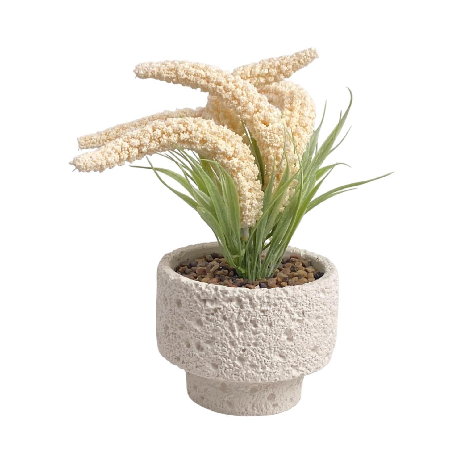 Planta Artificia 13.5X13.5X34 Pampas C P F243