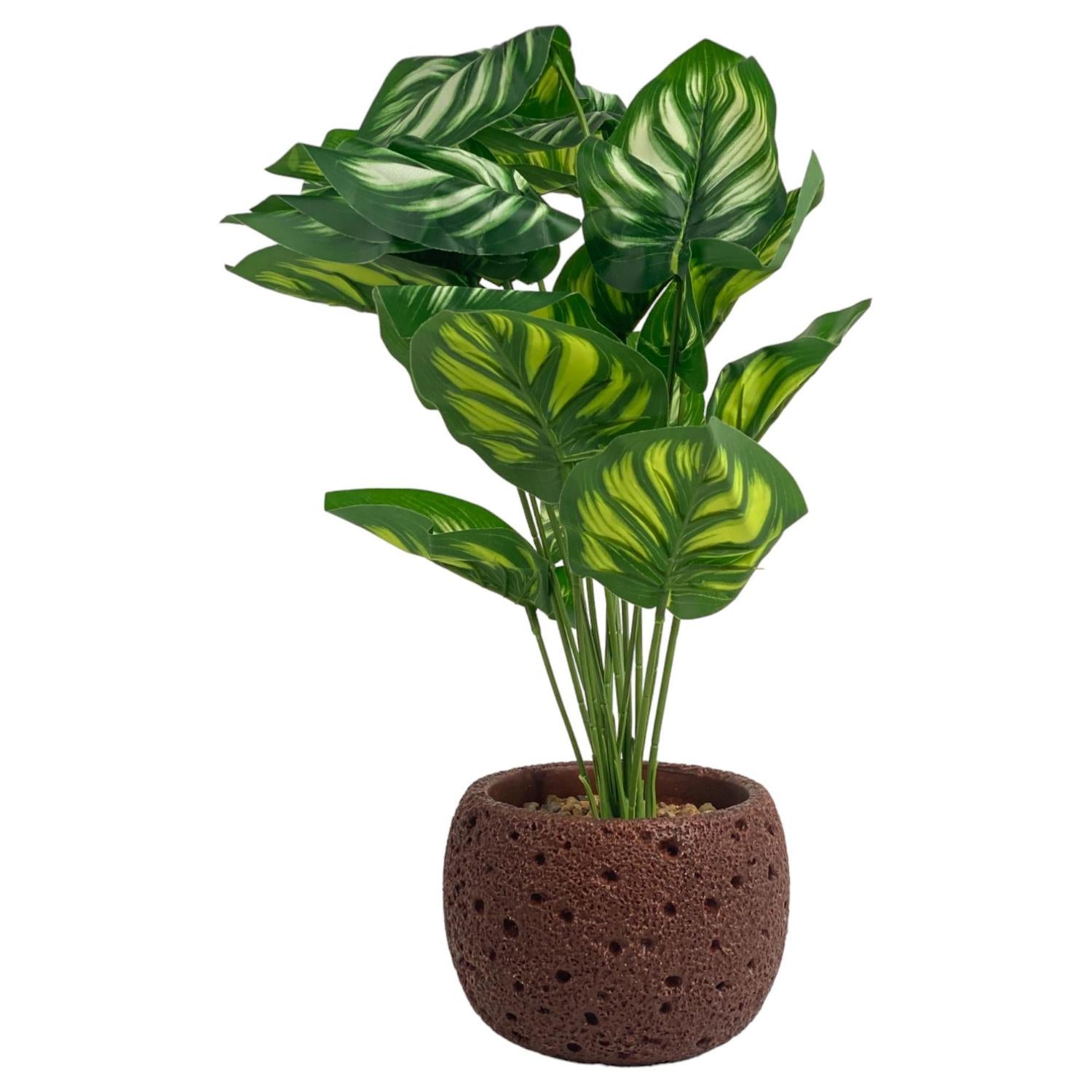 Planta Artificial 15X15X39 Alocasia C P F243