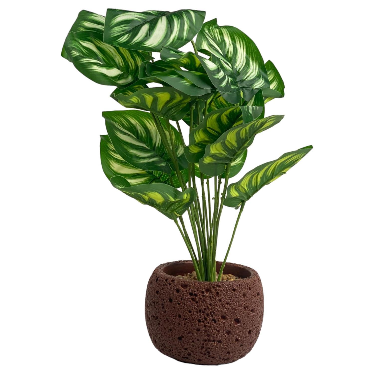 Planta Artificial 15X15X39 Alocasia C P F243