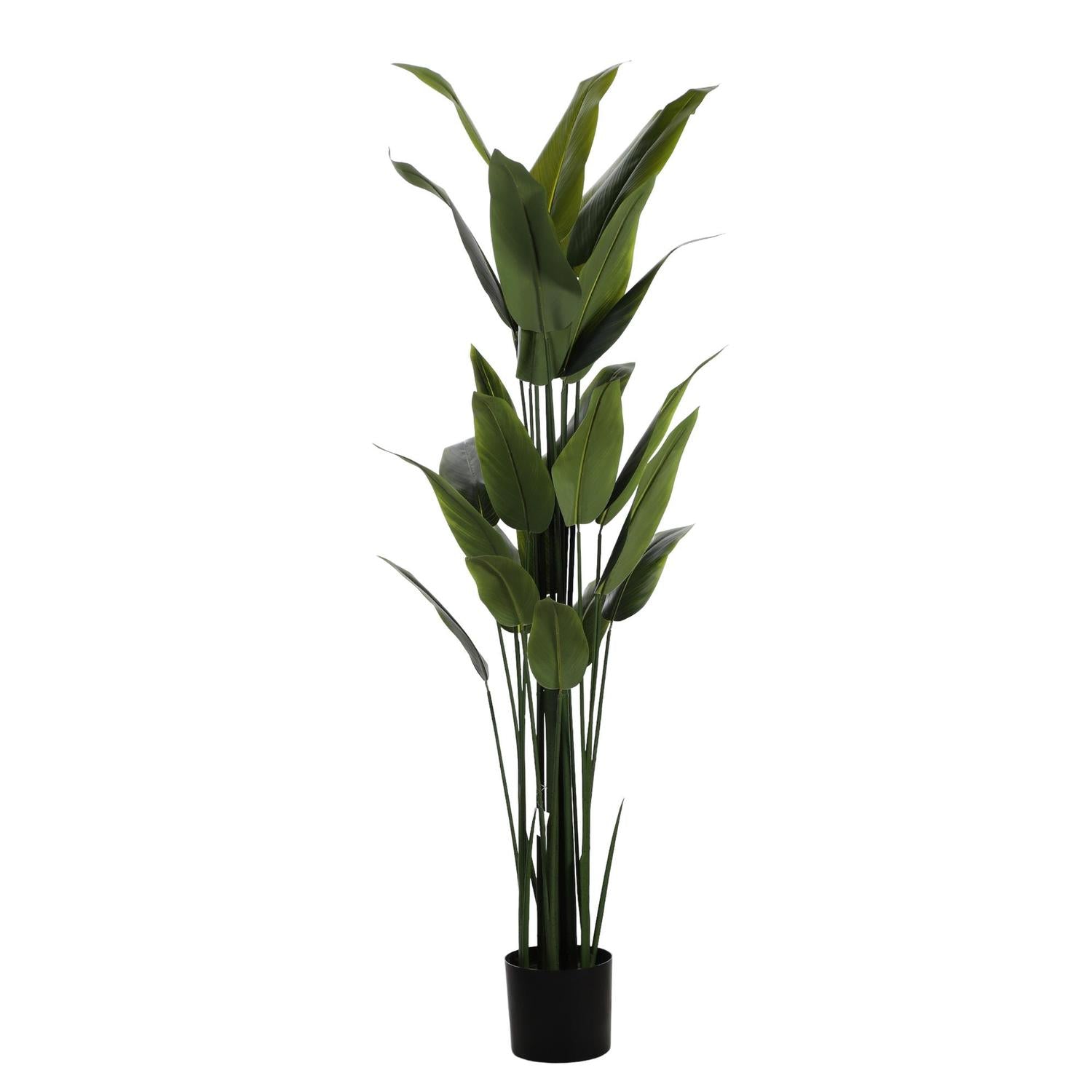 Planta Artificial 180Cm Verde Aspidistra F243