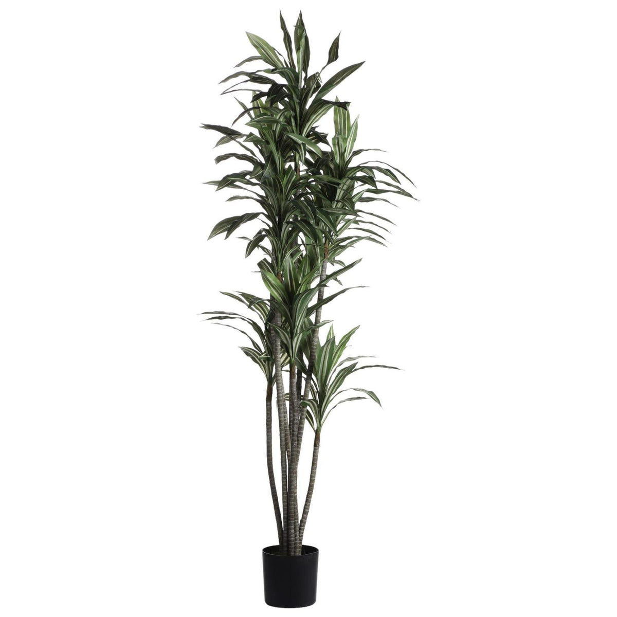 Planta Artificial 180Cm Verde Dracanea F243