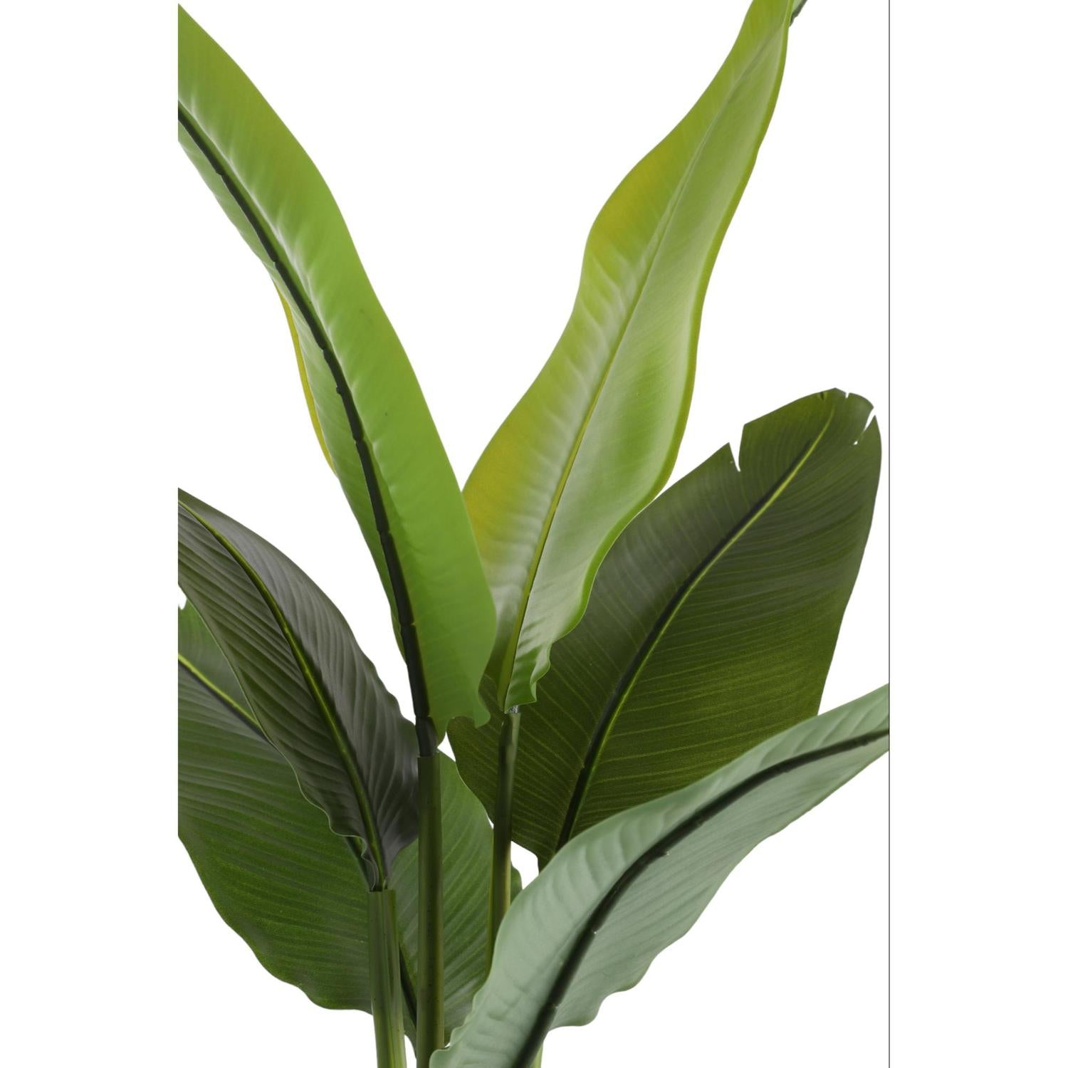Planta Artificial 50X40X90 Verde Musa F243