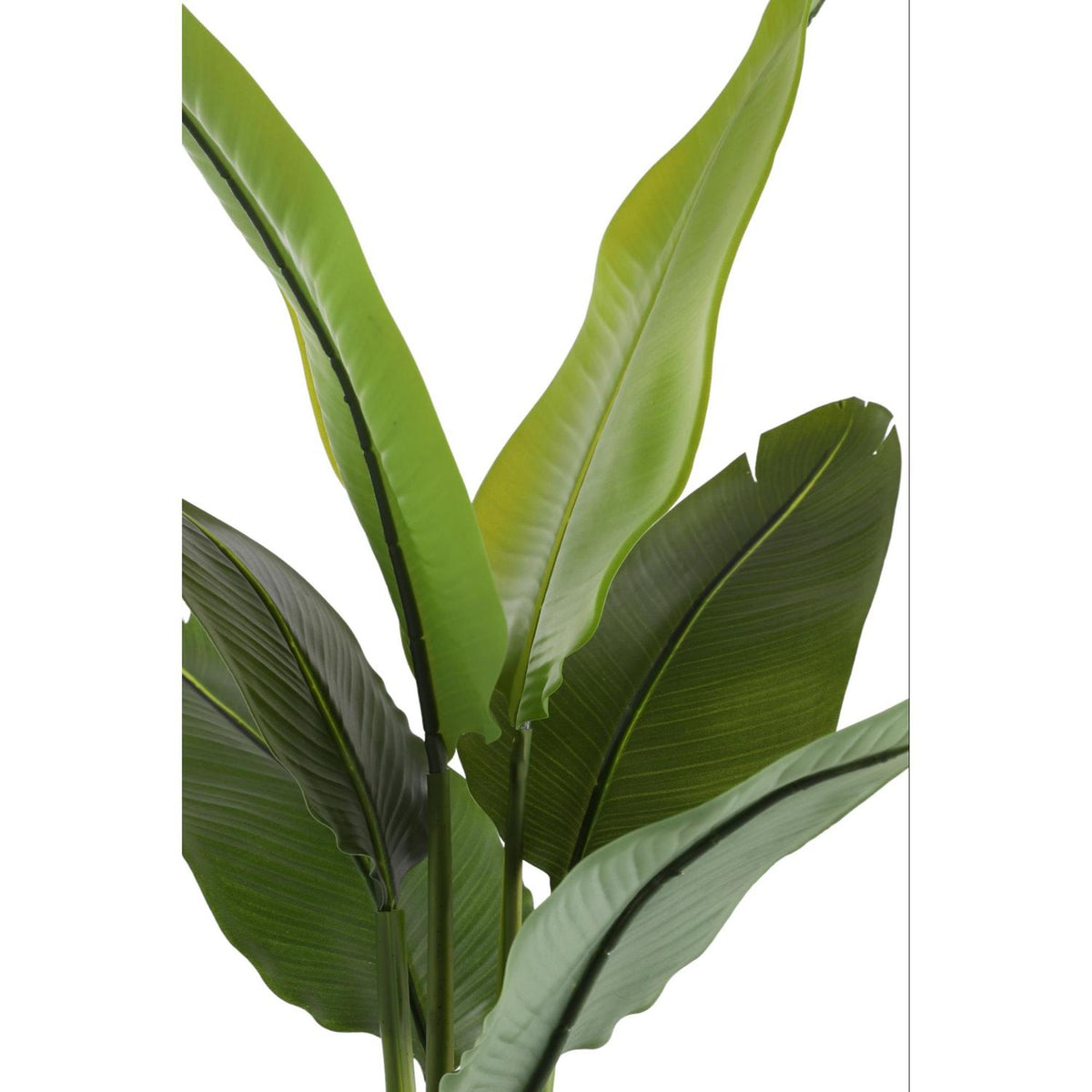 Planta Artificial 50X40X90 Verde Musa F243