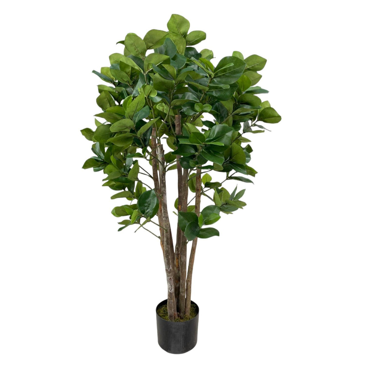 Planta Art 120Cm Ficus Bush F251