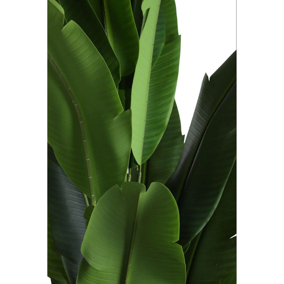 Planta Art 210Cm Verde F251