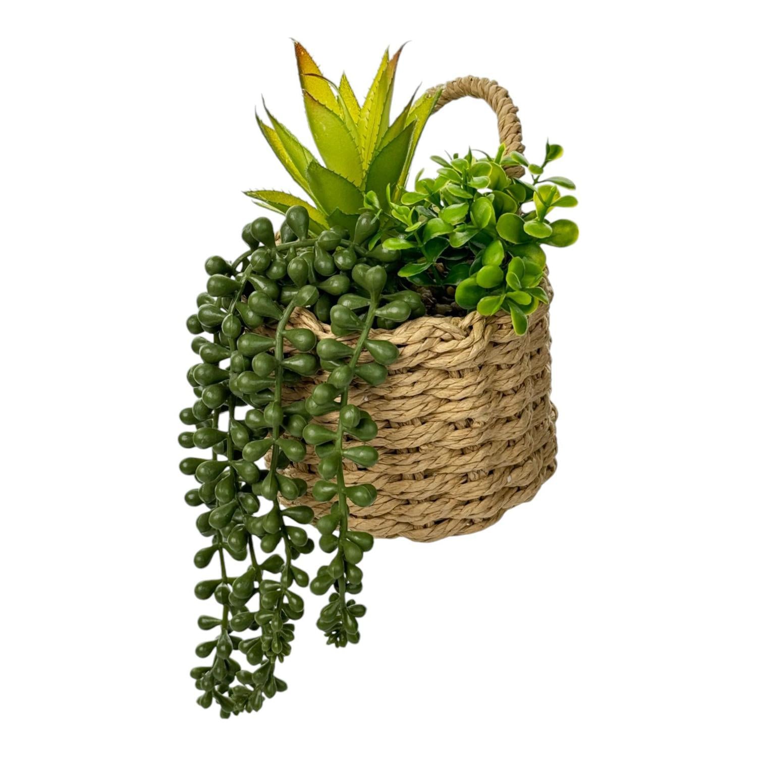 Planta Art 12X18 Colgante F251