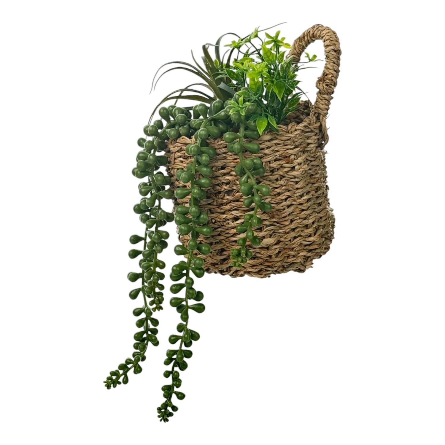 Planta Art 12X19 Colgante F251