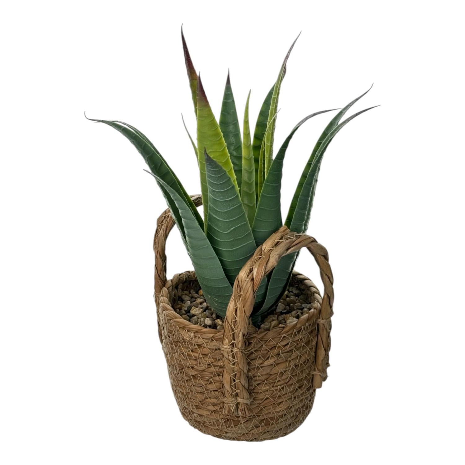 Planta Art 12X29 Verde F251