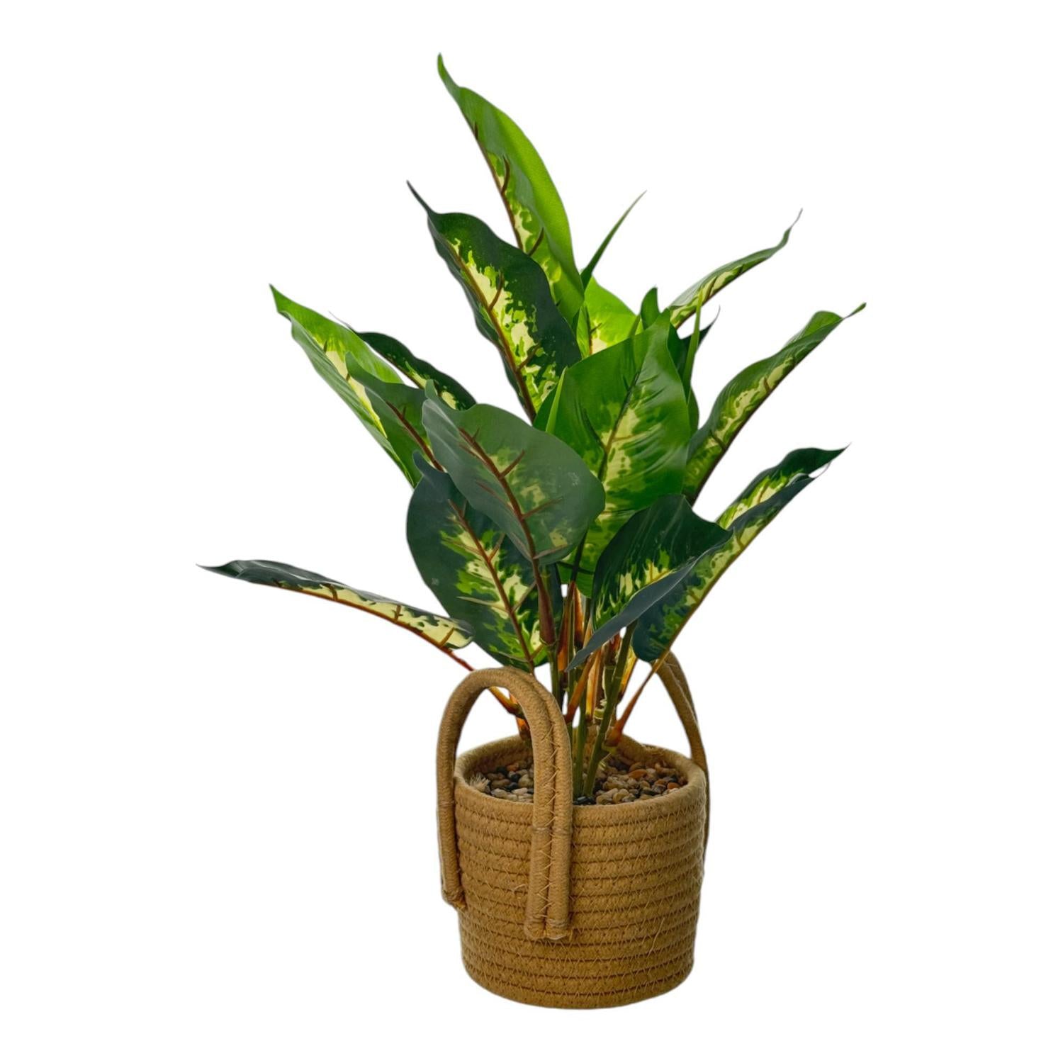 Planta Art 11X13X41 Verde F251