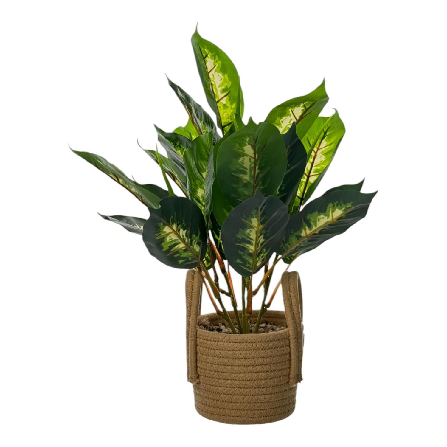 Planta Art 11X13X41 Verde F251