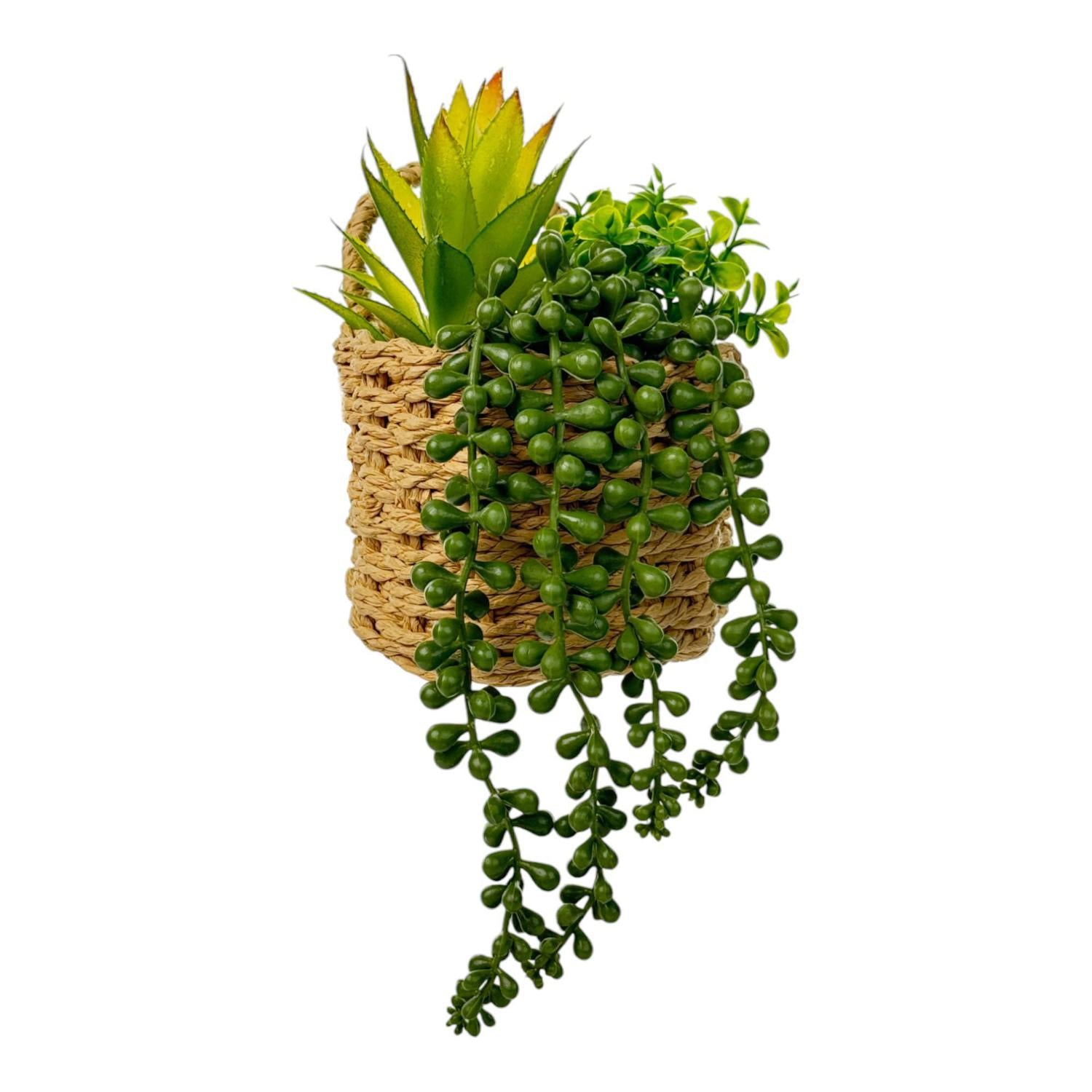 Planta Art 12X18 Colgante F251
