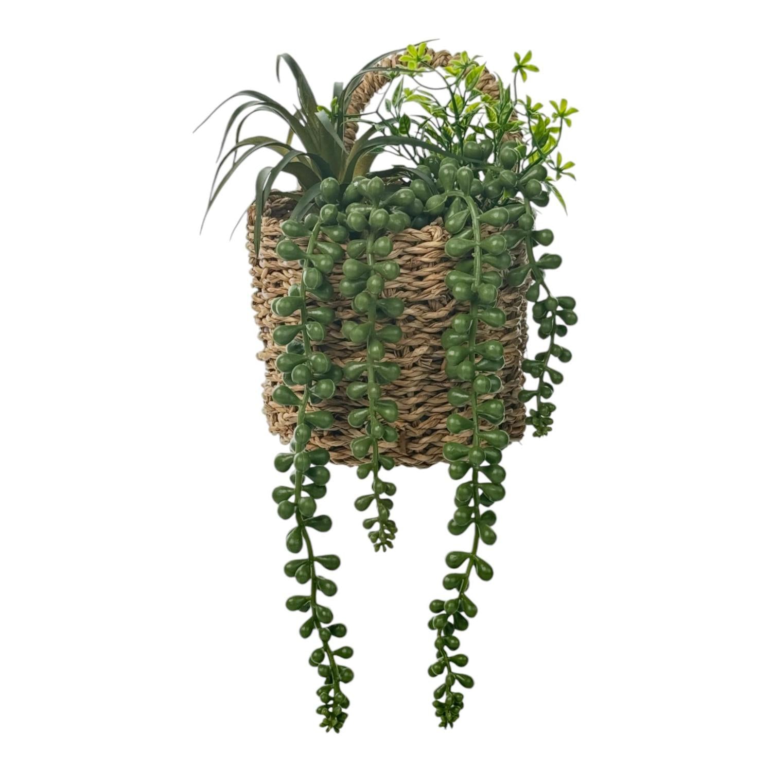 Planta Art 12X19 Colgante F251