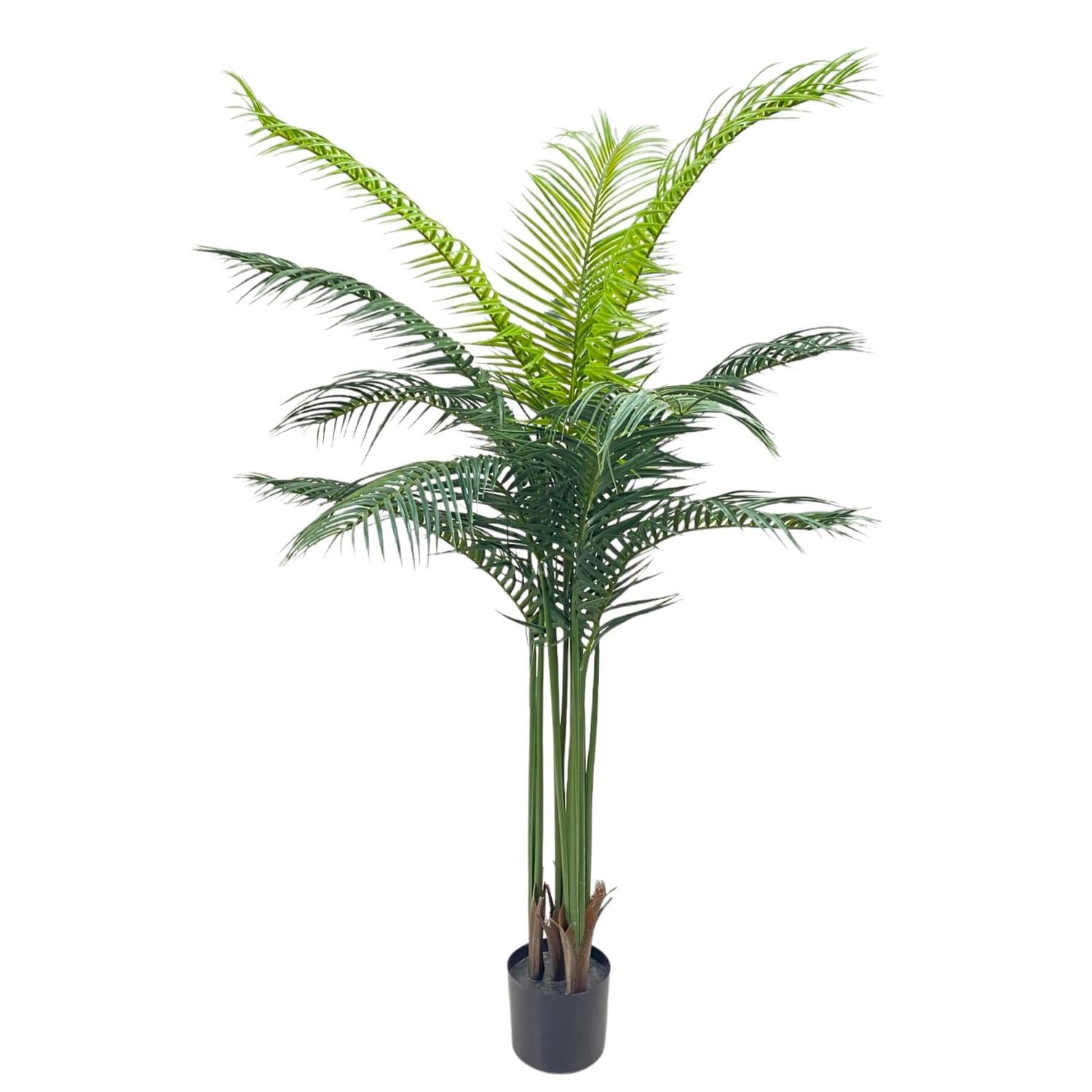 Planta Art 150Cm Palma Kentia Verde F251