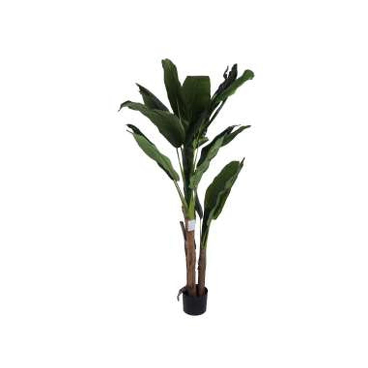 Planta Art 180Cm Strelitzia Verde F251
