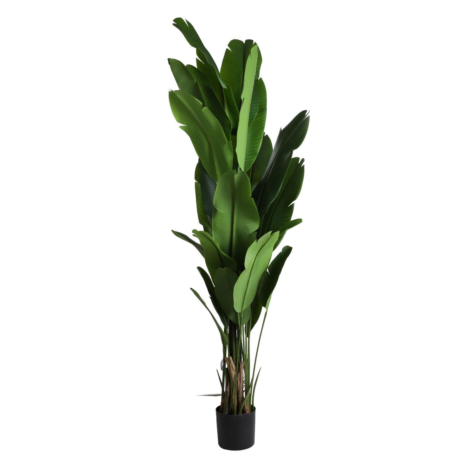 Planta Art 210Cm Verde F251