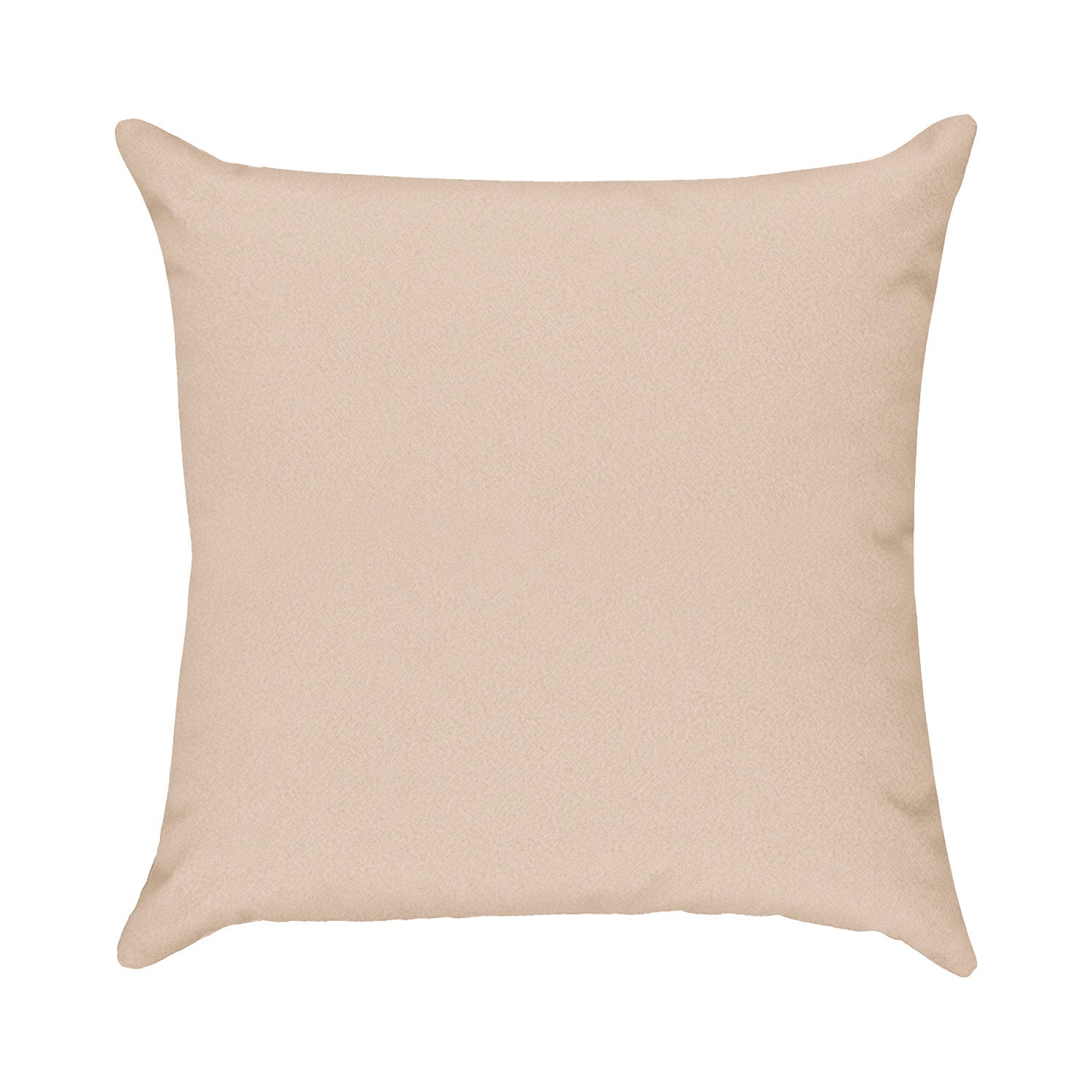 Cojin 45X45 Cassini Avellana