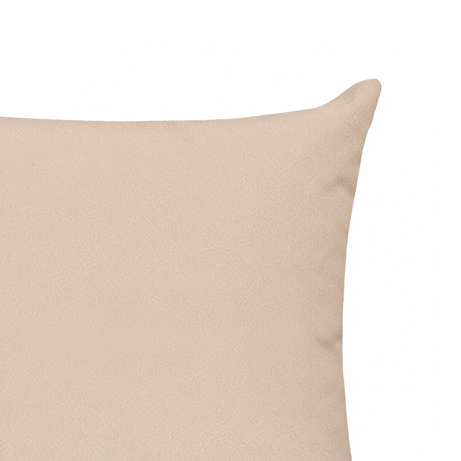Cojin 45X45 Cassini Avellana