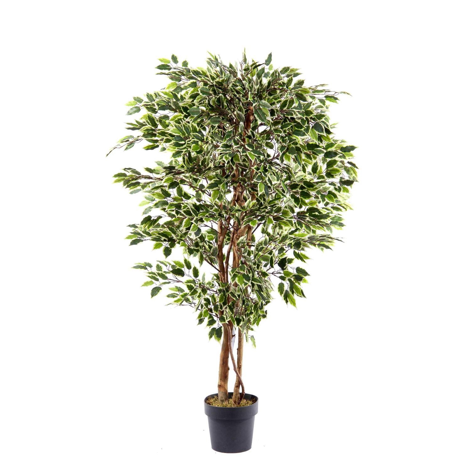 Planta Artificial 48X48X140 Verde 592-311711