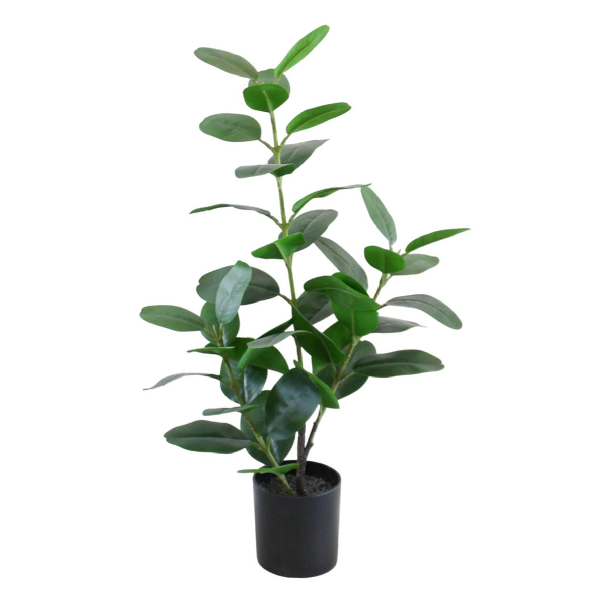 Planta Artificial 66X38X11Cm Ficus