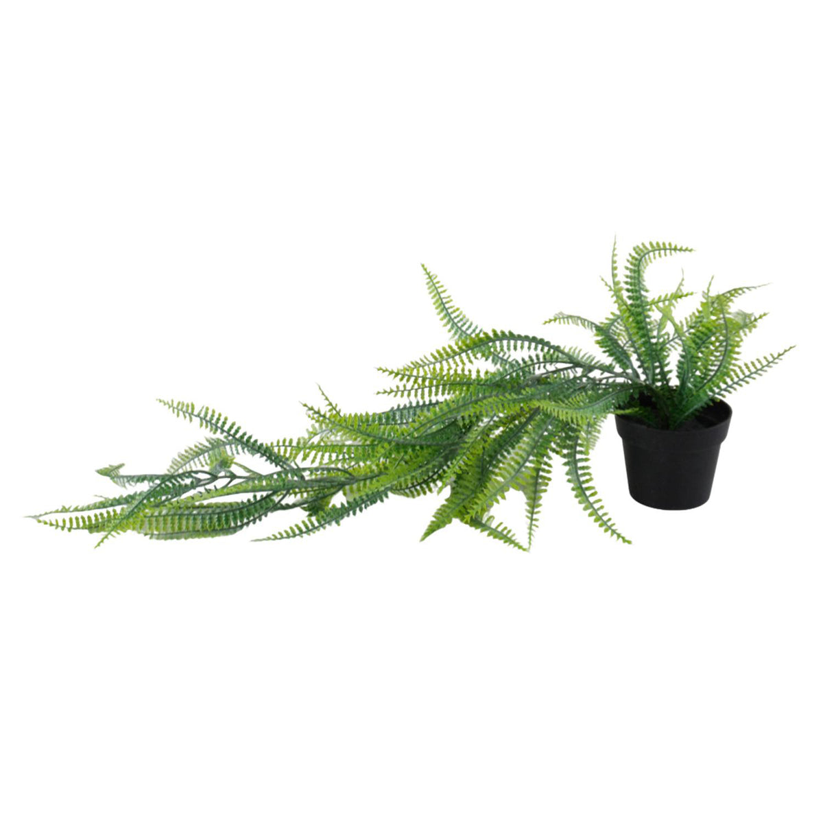 Planta Art 55X18X18Cm Helecho Colgante