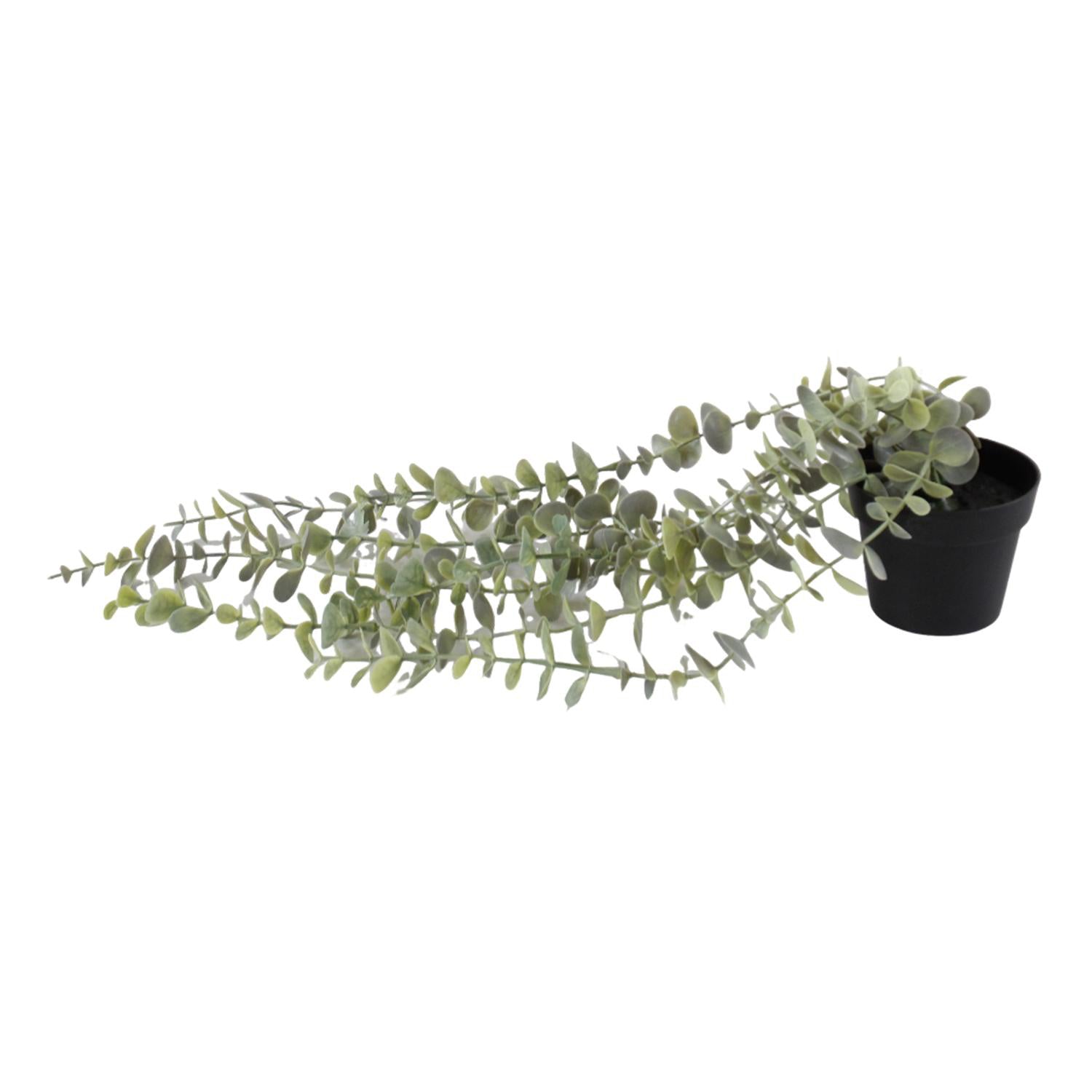 Planta Art 45X18X18Cm Eucalipto Colgante