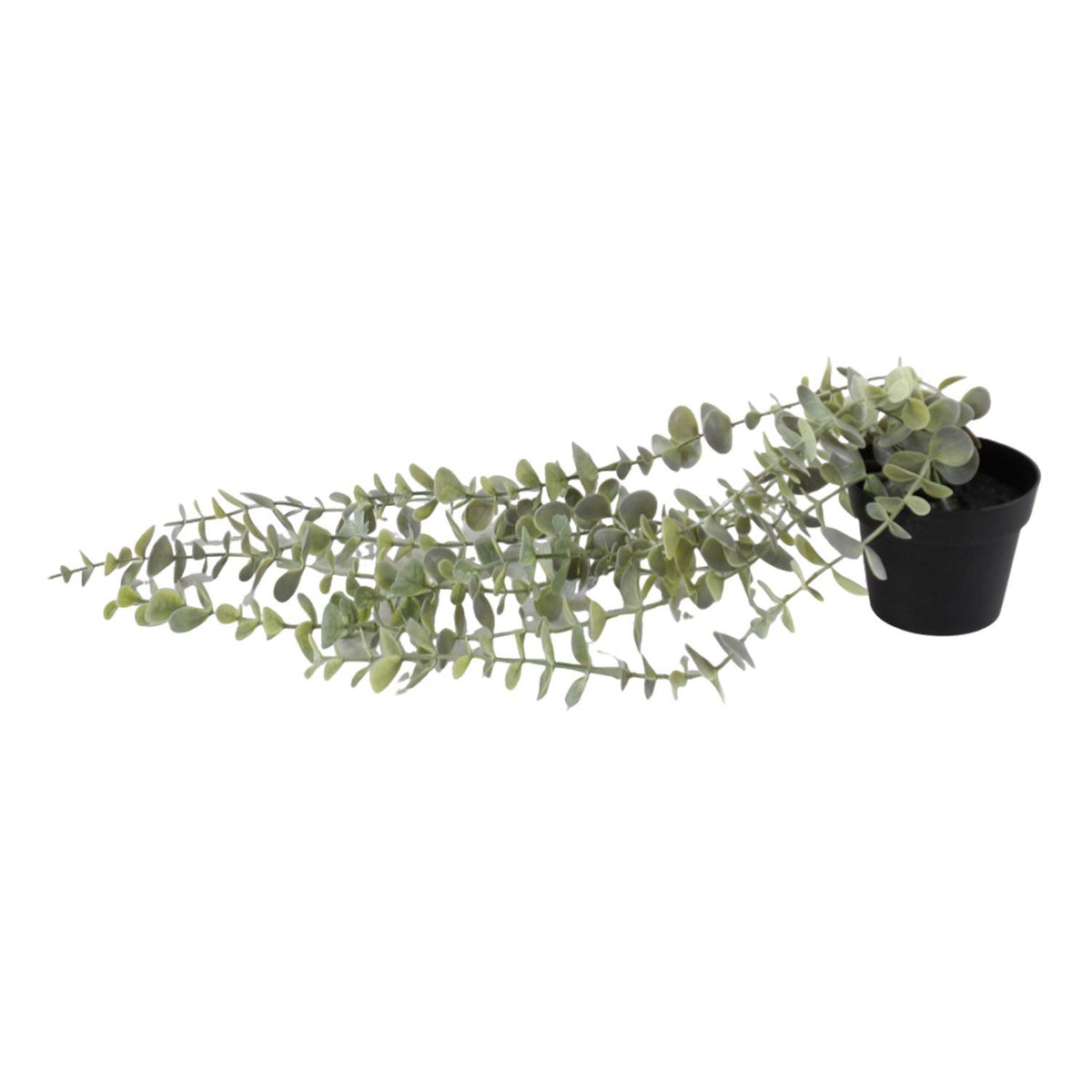 Planta Art 45X18X18Cm Eucalipto Colgante