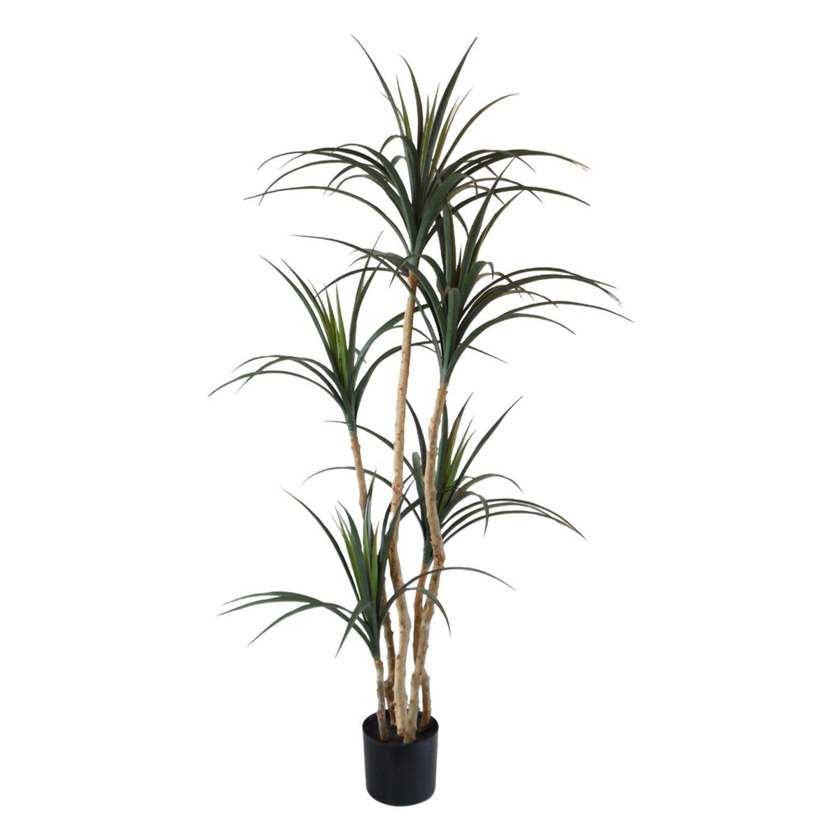 Planta Artificial 155X70X16Cm Arbol Yuca