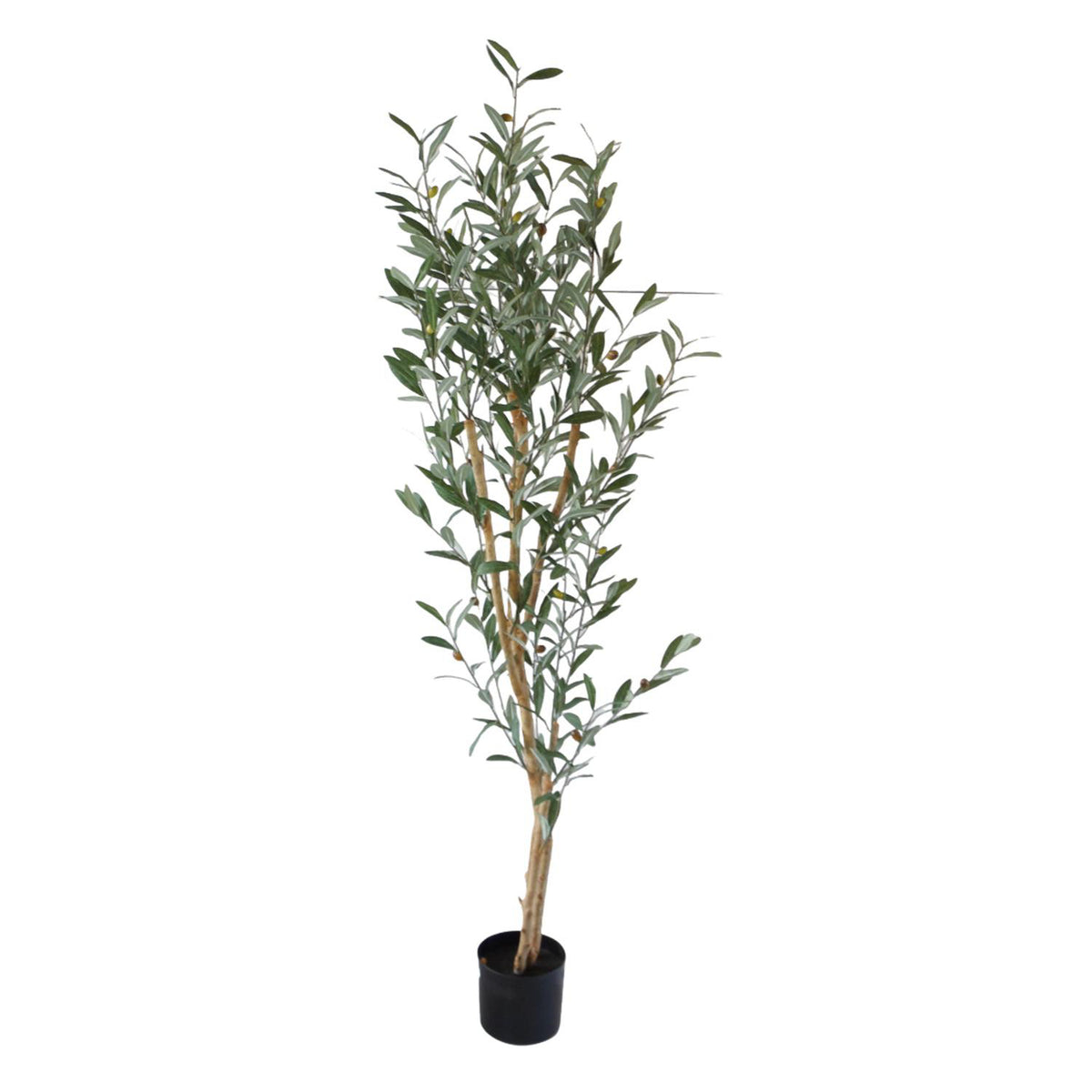 Planta Artificial 155X40X15Cm Olivo