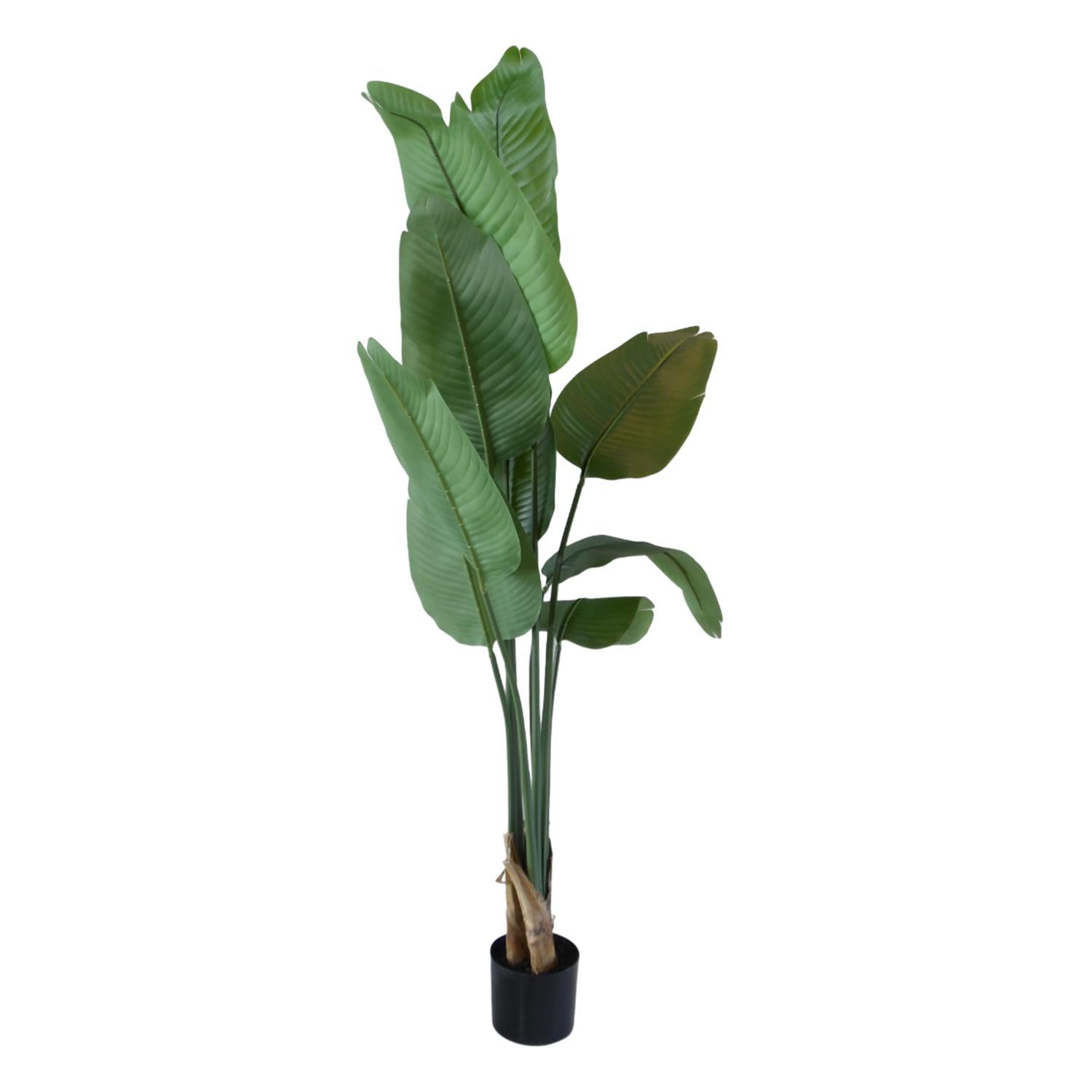 Planta Artificial 155X70X15Cm Platanillo