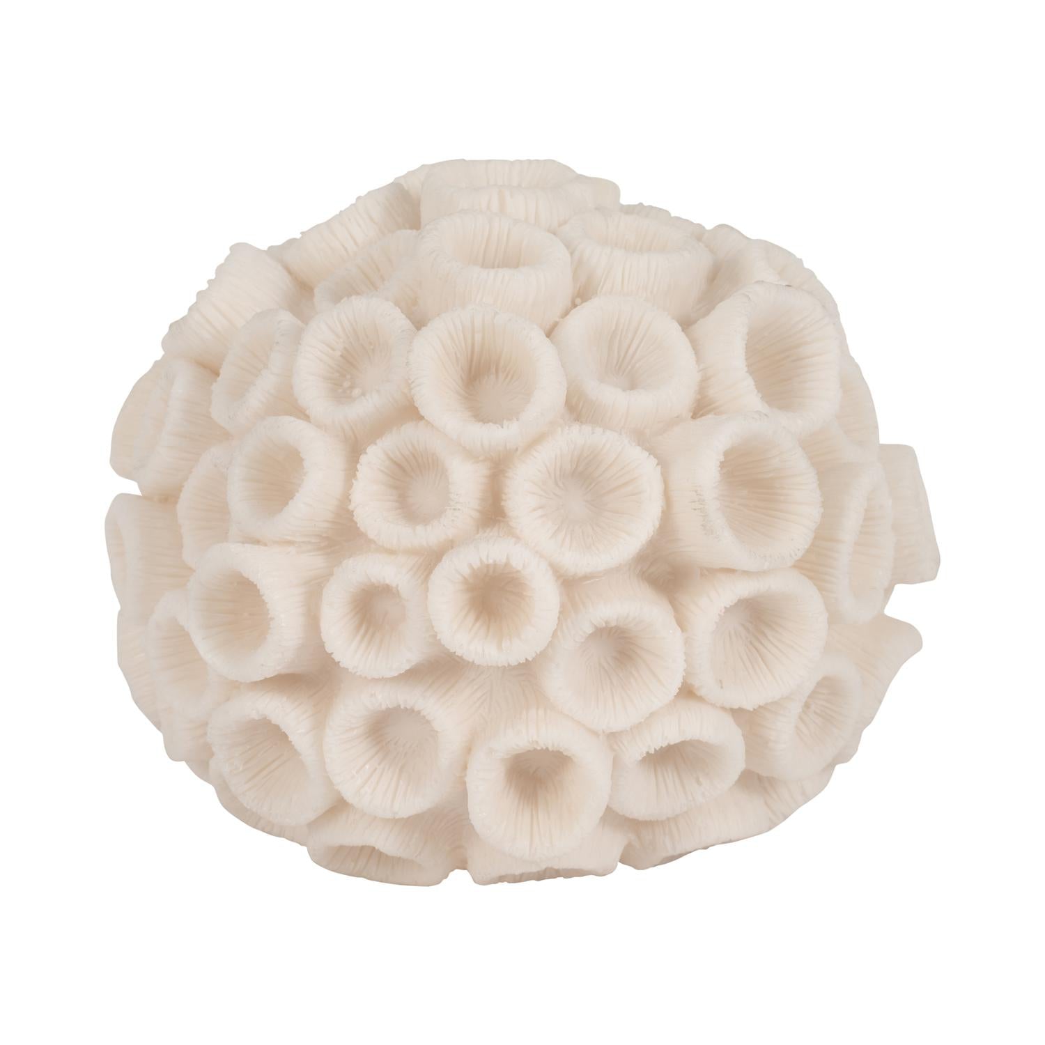 Figura 6X7X7 Beige Coral Marino Lv261