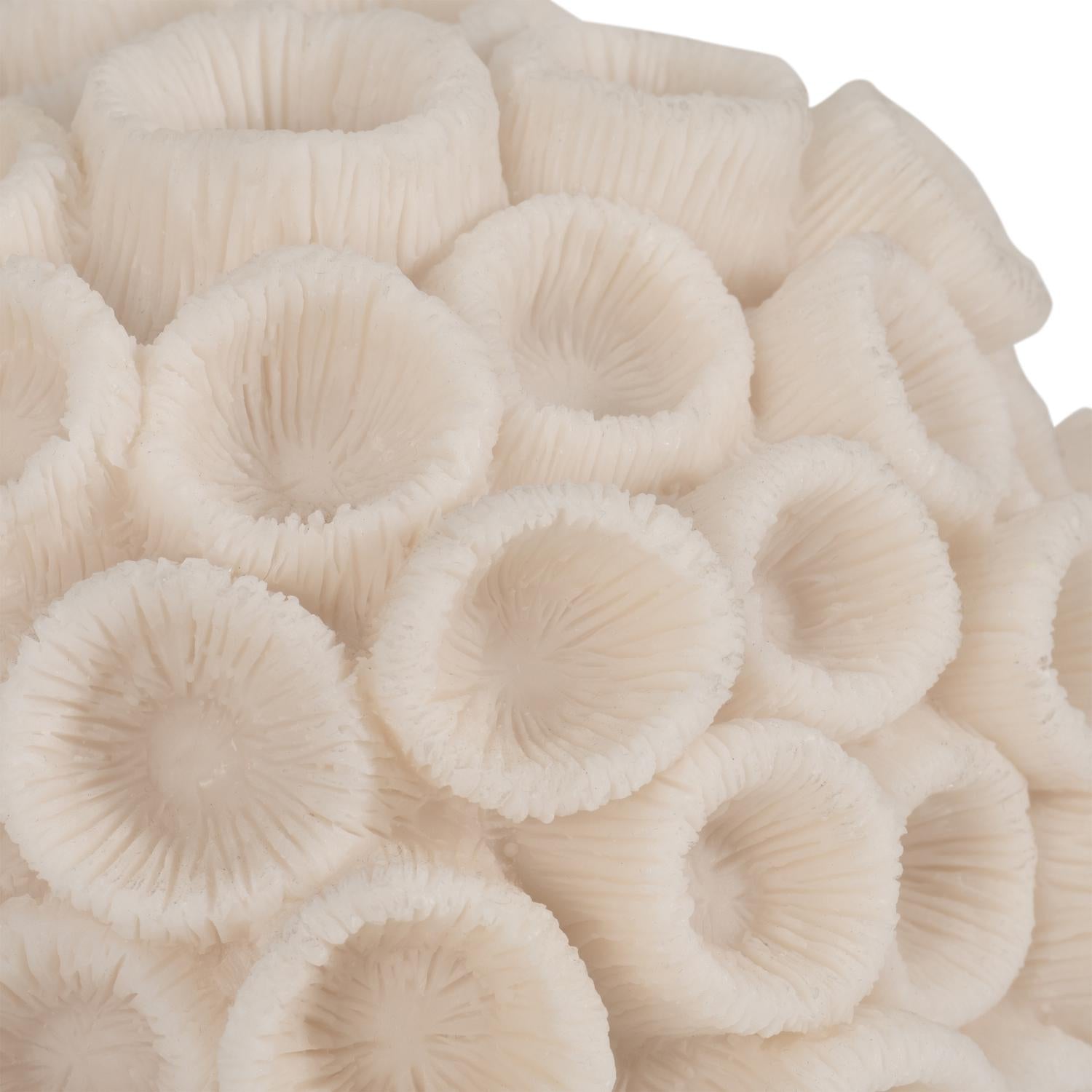 Figura 6X7X7 Beige Coral Marino Lv261